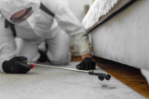 Professional Cockroach Control technician working in Quinebaug, CT